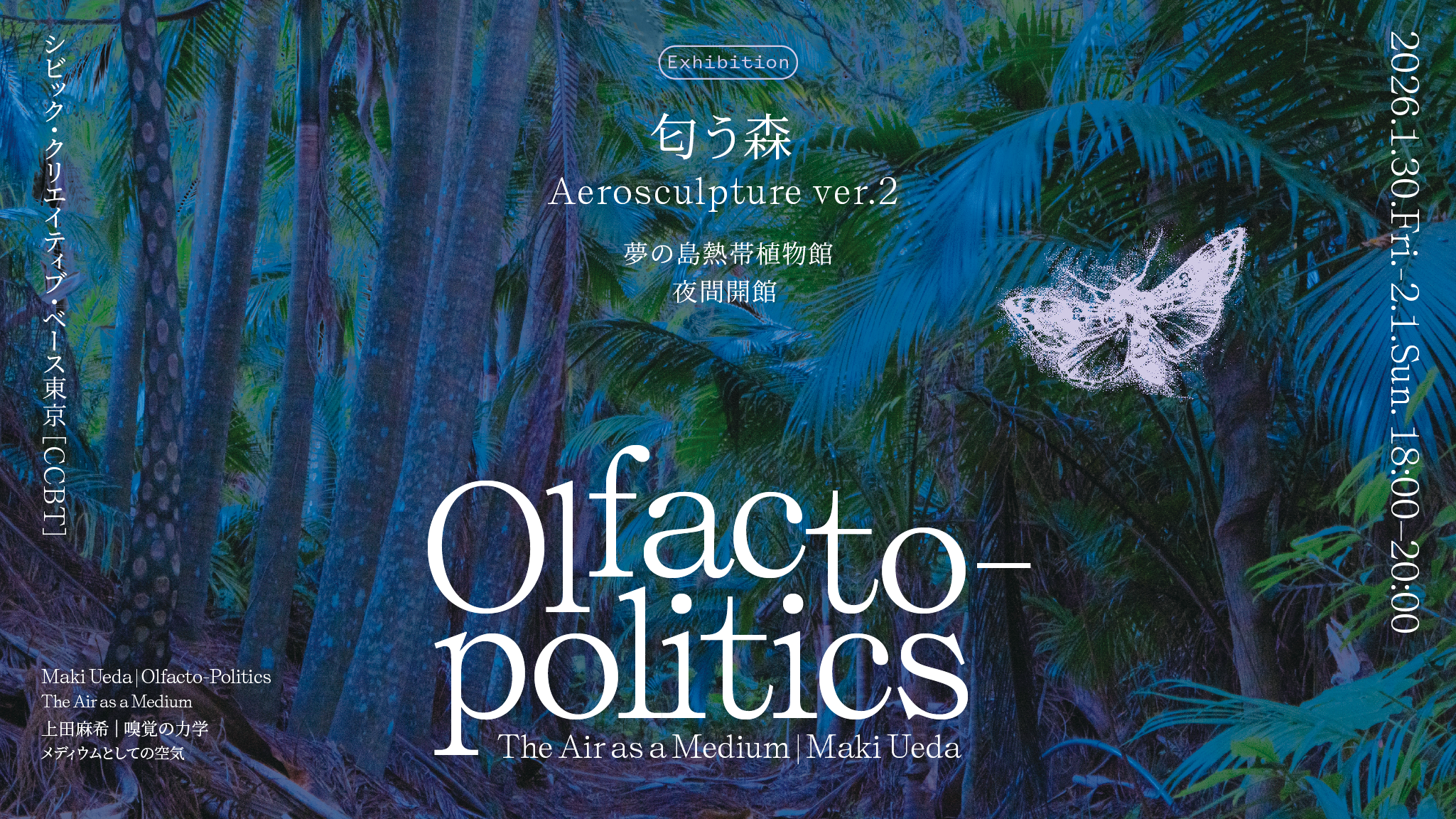 上田麻希 展覧会「Aerosculpture ver.2『匂う森』」