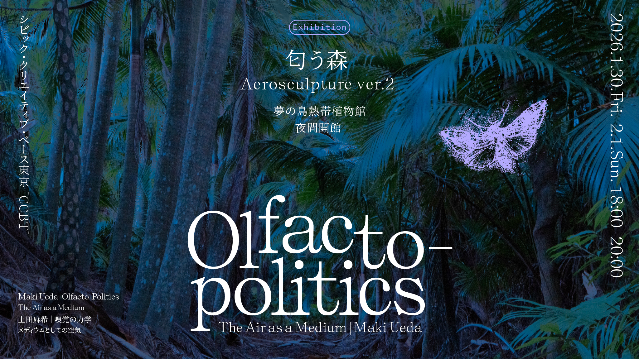 上田麻希 展覧会「Aerosculpture ver.2『匂う森』」